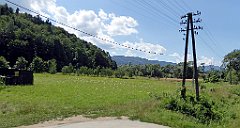 172_TZ60_P1130195_cr