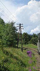 229_TZ60_P1130235_cr