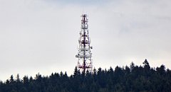 460_TZ60_P1130434_cr