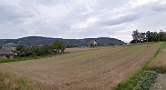 461_TZ60_P1130435_cr