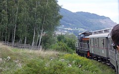 463_TZ60_P1130437_cr