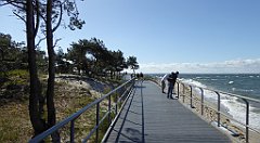 0300_TZ60_P1130717_cr