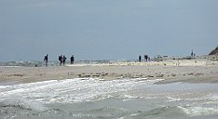 0383_TZ60_P1130784_cr