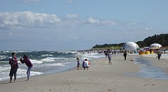 0449_TZ60_P1130832_cr