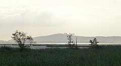 0046a_TZ_P1100459_cr