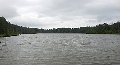 0296a_3D_P1100585_cr