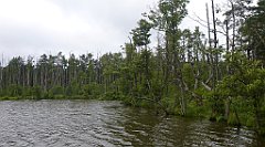 0302a_3D_P1100578_cr