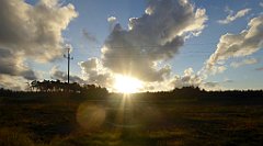 0010_TZ60_P1130881_cr