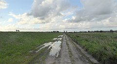 0065_TZ60_P1130912_cr