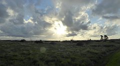 0076_TZ60_P1130922_cr