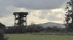 0091_TZ60_P1130933_cr