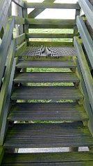 0105_TZ60_P1130941_cr