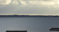 0112_TZ60_P1130949_cr