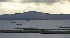 0115_TZ60_P1130953_cr