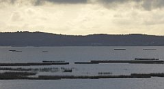 0116_TZ60_P1130955_cr