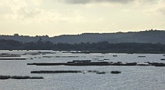 0120_TZ60_P1130961_cr