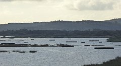 0121_TZ60_P1130962_cr