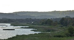 0122_TZ60_P1130964_cr