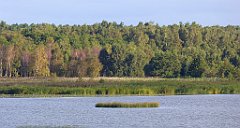 0147_TZ60_P1130996_cr