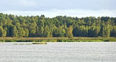 0152_TZ60_P1140006_cr