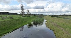 0216_TZ60_P1140035_cr