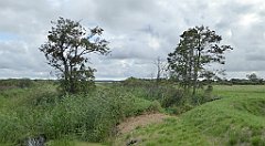 0217_TZ60_P1140036_cr