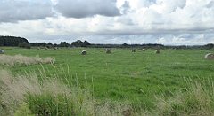 0220_TZ60_P1140039_cr