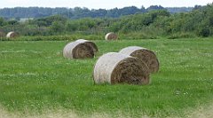 0222_TZ60_P1140041_cr