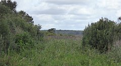 0241_TZ60_P1140054_cr