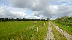 0254_TZ60_P1140059_cr