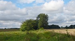 0321a_3D_P1100829_cr