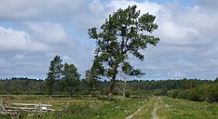 0522_TZ60_P1140146_cr