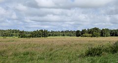 0539_TZ60_P1140163_cr