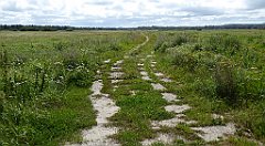 0549_TZ60_P1140173_cr