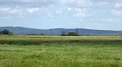 0555_TZ60_P1140181_cr