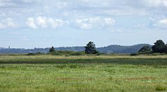 0556_TZ60_P1140183_cr