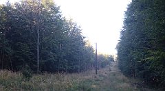 0027a_3D_P1110298_cr