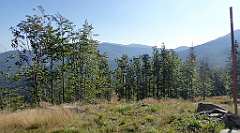 0078_TZ60_P1140253_cr