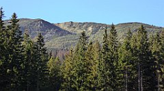 0086_TZ60_P1140261_cr