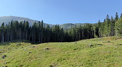 0089_TZ60_P1140264_cr