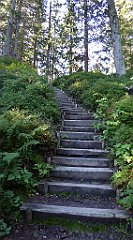 0133_TZ60_P1140290_cr