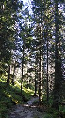 0138_TZ60_P1140293_cr