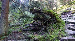 0139a_TZ60_P1140292_cr