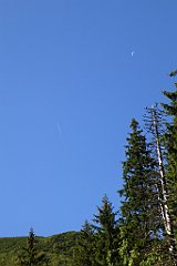 0149_TZ60_P1140297_cr