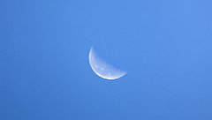 0152_TZ60_P1140300_cr