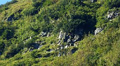 0154_TZ60_P1140302_cr