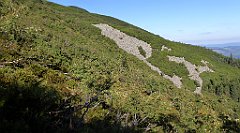 0184a_TZ60_P1140316_cr