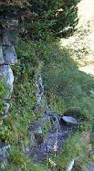 0219a_TZ60_P1140361_cr