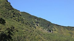 0233_TZ60_P1140366_cr