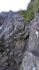 0238_TZ60_P1140371_cr